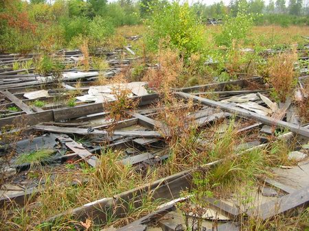 Evergreen Drive-In Theatre - Fallen Screen